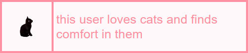 this user loves cats and finds comfort in them