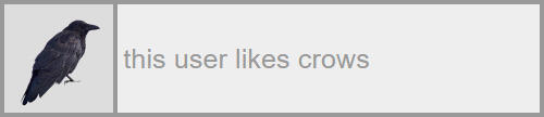 this user likes crows